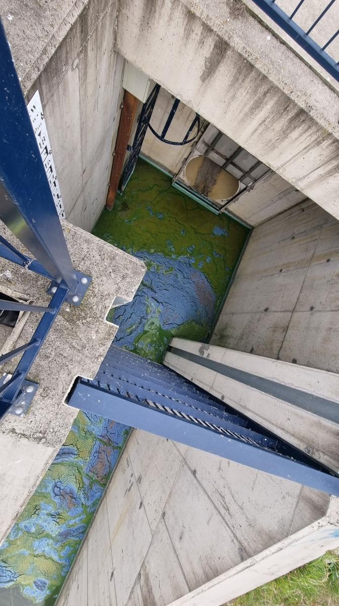 Zdjęcie w galerii na portalu naszraciborz.pl: Strażackie grupy ratownictwa chemicznego działają w Krzyżanowicach wiadomości z regionu