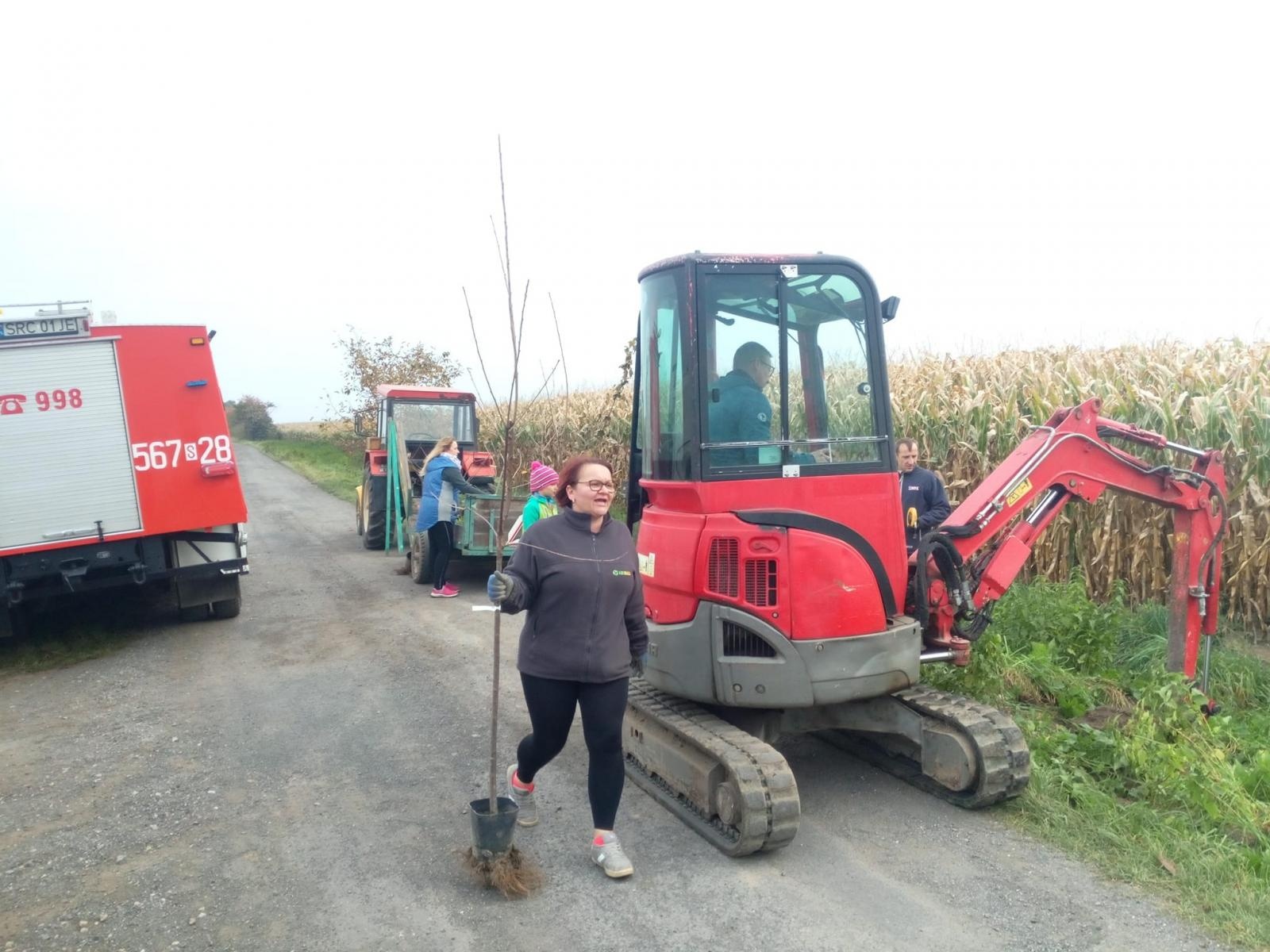 Zdjęcie w galerii na portalu naszraciborz.pl: Krajobraz jak za dawnych lat. Do Makowa wraca czereśniowa aleja wiadomości z regionu
