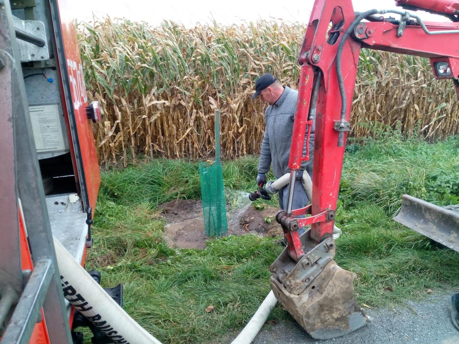 Zdjęcie w galerii na portalu naszraciborz.pl: Krajobraz jak za dawnych lat. Do Makowa wraca czereśniowa aleja wiadomości z regionu