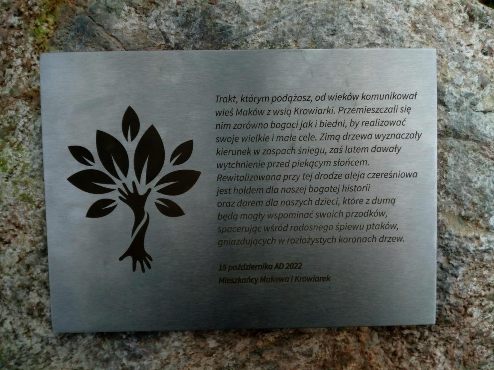 Zdjęcie w galerii na portalu naszraciborz.pl: Krajobraz jak za dawnych lat. Do Makowa wraca czereśniowa aleja wiadomości z regionu