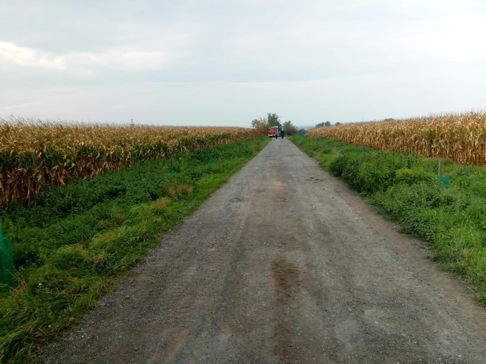 Zdjęcie w galerii na portalu naszraciborz.pl: Krajobraz jak za dawnych lat. Do Makowa wraca czereśniowa aleja wiadomości z regionu