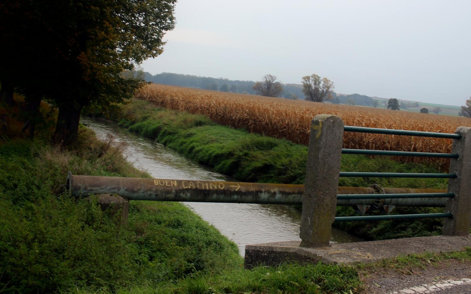 Zdjęcie w galerii na portalu naszraciborz.pl: Szlak przetarty. Pielgrzymi od św. Jakuba dotarli do Czech wiadomości z regionu