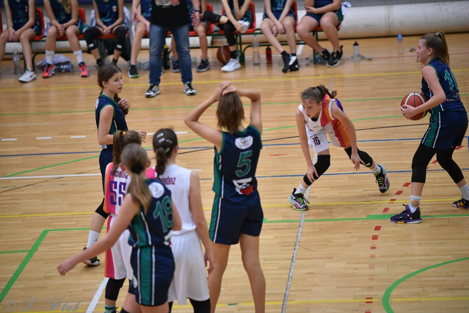 Zdjęcie w galerii na portalu naszraciborz.pl: Młode koszykarki rywalizowały o puchar starosty [FOTO] wiadomości z regionu