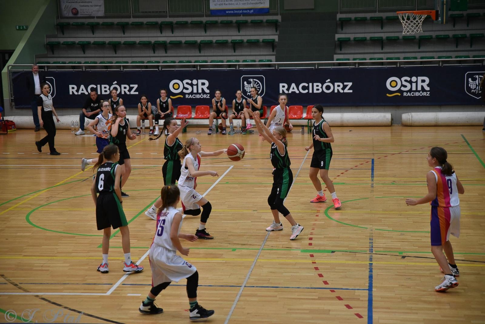 Zdjęcie w galerii na portalu naszraciborz.pl: Młode koszykarki rywalizowały o puchar starosty [FOTO] wiadomości z regionu