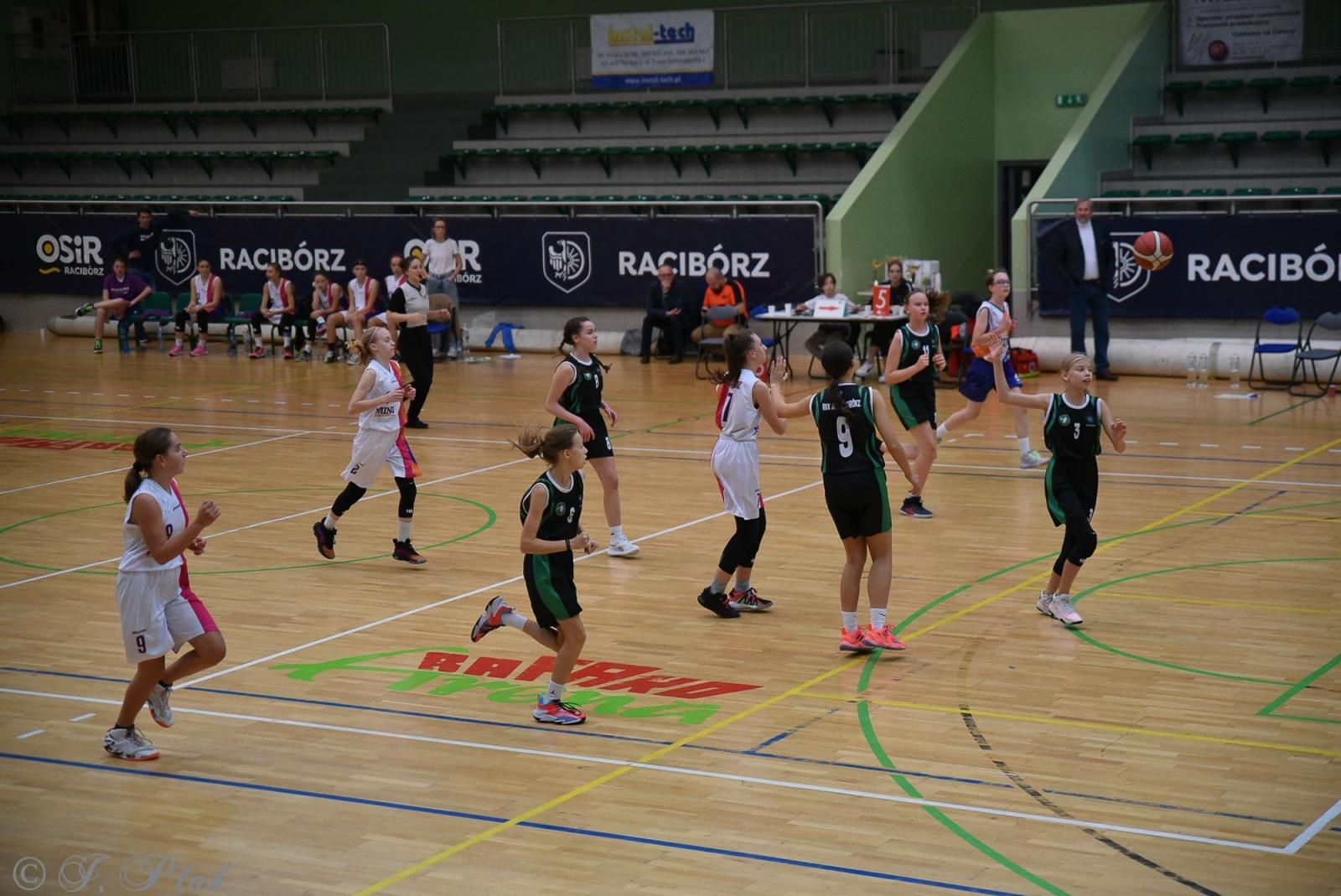 Zdjęcie w galerii na portalu naszraciborz.pl: Młode koszykarki rywalizowały o puchar starosty [FOTO] wiadomości z regionu