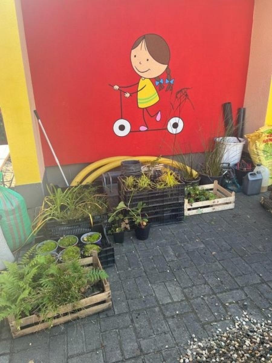 Zdjęcie w galerii na portalu naszraciborz.pl: Racibórz ma swój ogród deszczowy przy P23 [FOTO i WIDEO] wiadomości z regionu