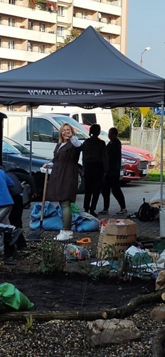 Zdjęcie w galerii na portalu naszraciborz.pl: Racibórz ma swój ogród deszczowy przy P23 [FOTO i WIDEO] wiadomości z regionu