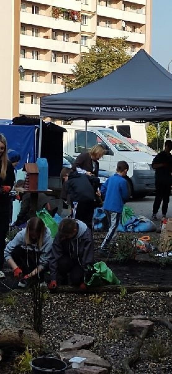 Zdjęcie w galerii na portalu naszraciborz.pl: Racibórz ma swój ogród deszczowy przy P23 [FOTO i WIDEO] wiadomości z regionu