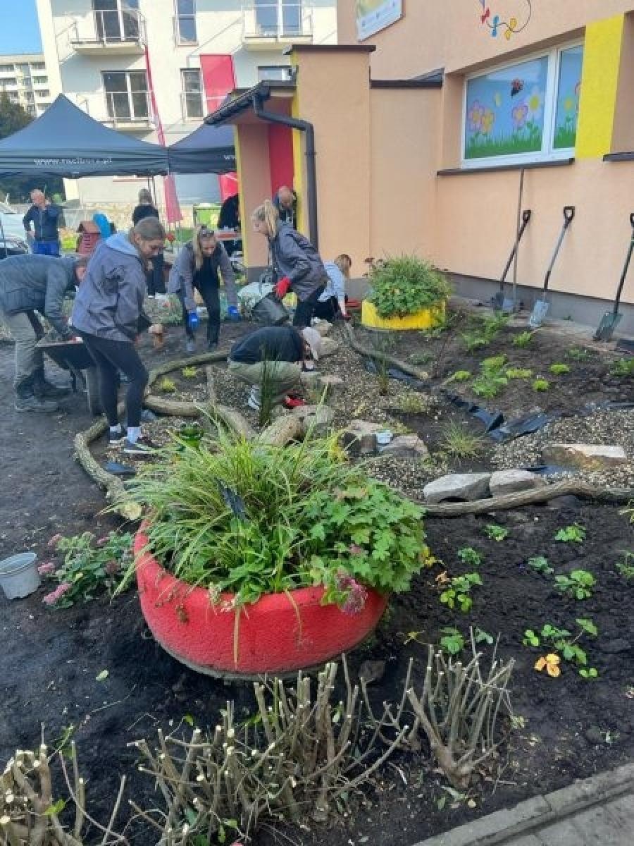 Zdjęcie w galerii na portalu naszraciborz.pl: Racibórz ma swój ogród deszczowy przy P23 [FOTO i WIDEO] wiadomości z regionu