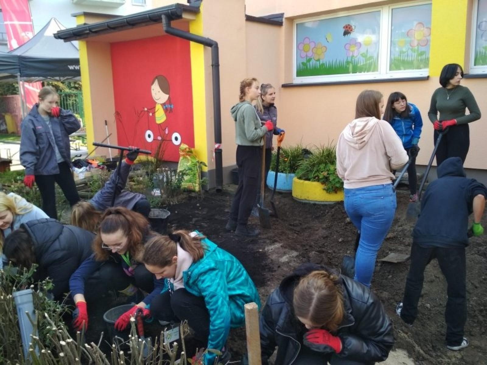 Zdjęcie w galerii na portalu naszraciborz.pl: Racibórz ma swój ogród deszczowy przy P23 [FOTO i WIDEO] wiadomości z regionu
