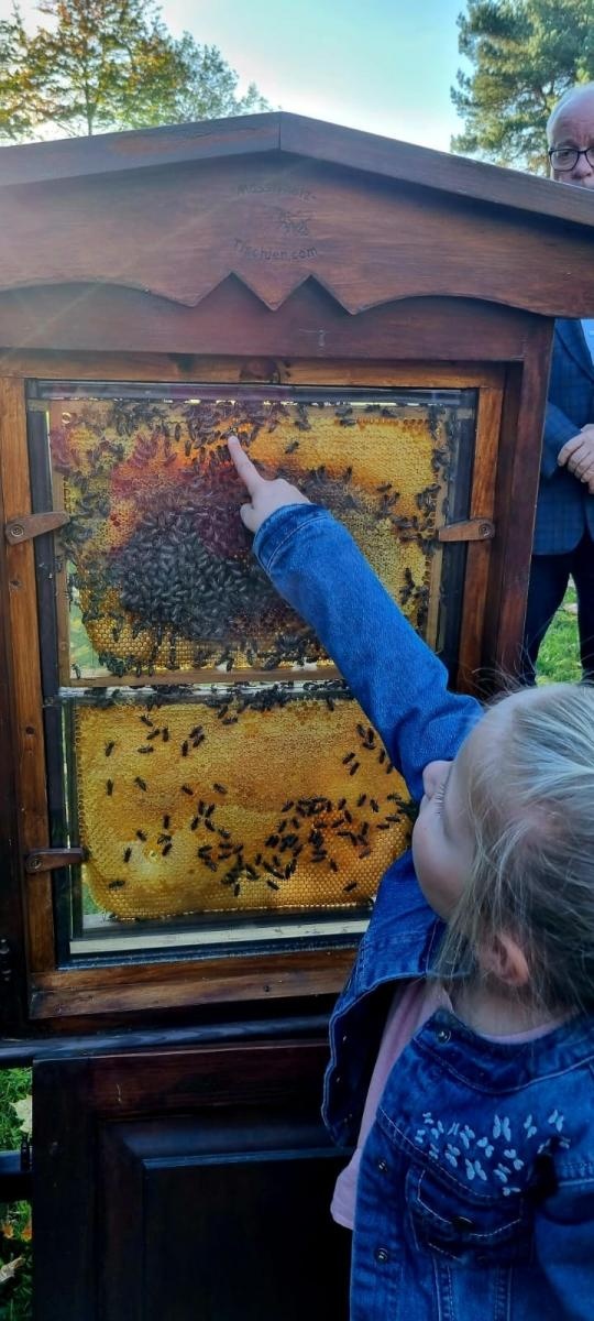 Zdjęcie w galerii na portalu naszraciborz.pl: Niedaleko Raciborza otwarto edukacyjną ścieżkę pszczelarską wiadomości z regionu
