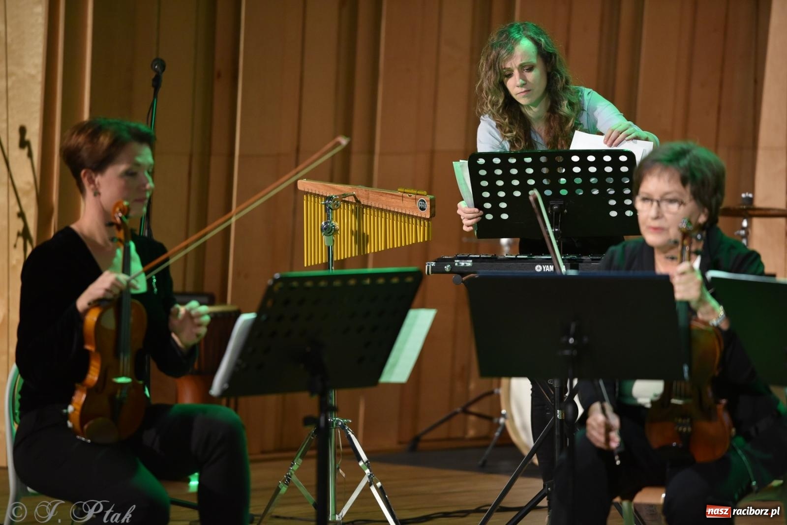 Zdjęcie w galerii na portalu naszraciborz.pl: Nauczyciele szkoły muzycznej pokazali, co potrafią wiadomości z regionu