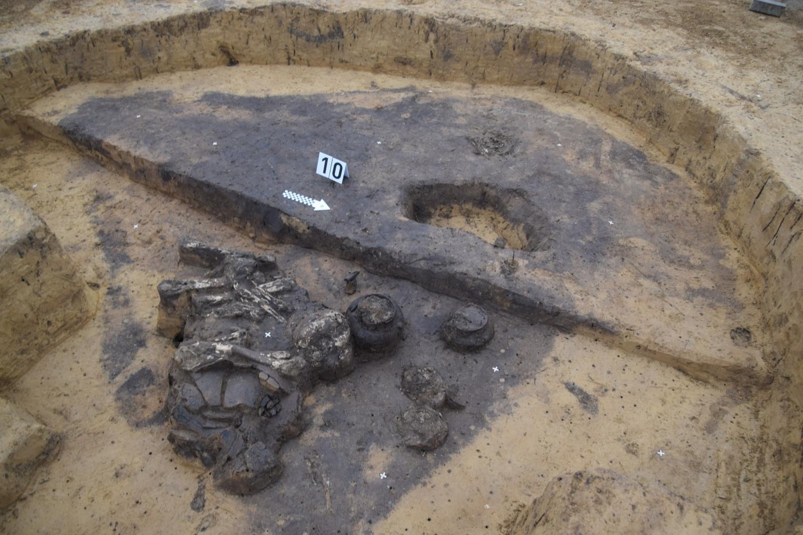 Zdjęcie w galerii na portalu naszraciborz.pl: Szczątki pradziejowych mieszkańców Starej Wsi trafią do analiz wiadomości z regionu