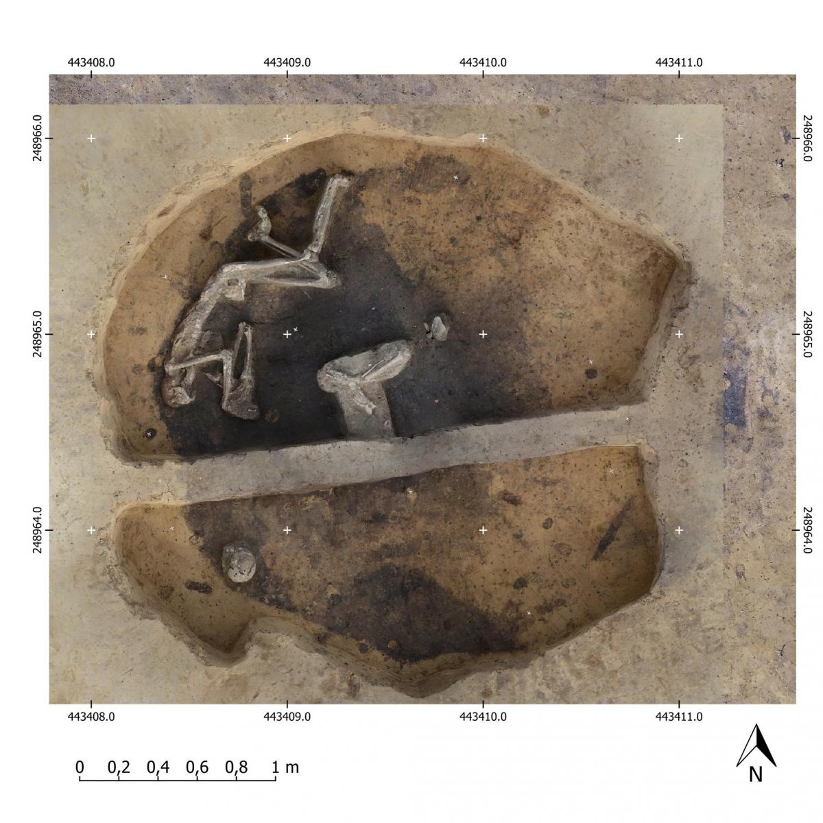 Zdjęcie w galerii na portalu naszraciborz.pl: Szczątki pradziejowych mieszkańców Starej Wsi trafią do analiz wiadomości z regionu