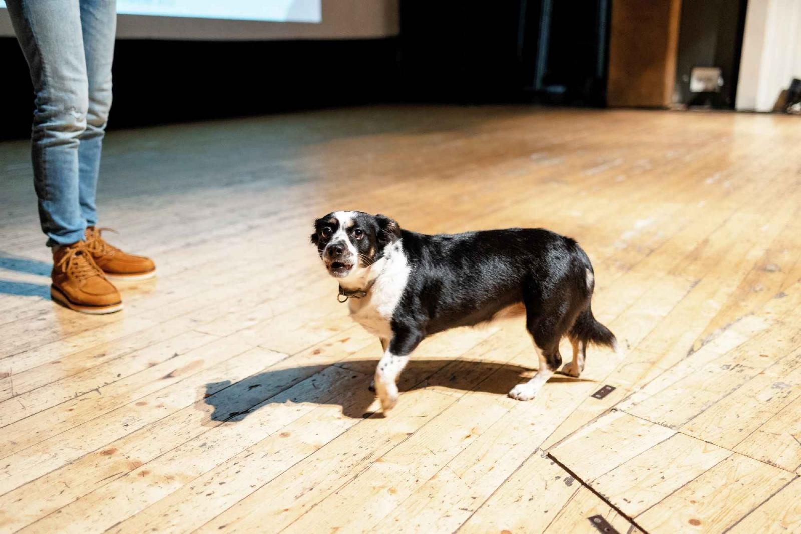 Zdjęcie w galerii na portalu naszraciborz.pl: Festiwal podróżniczy WIATRAKI - podsumowanie edycji i pełna fotorelacja wiadomości z regionu