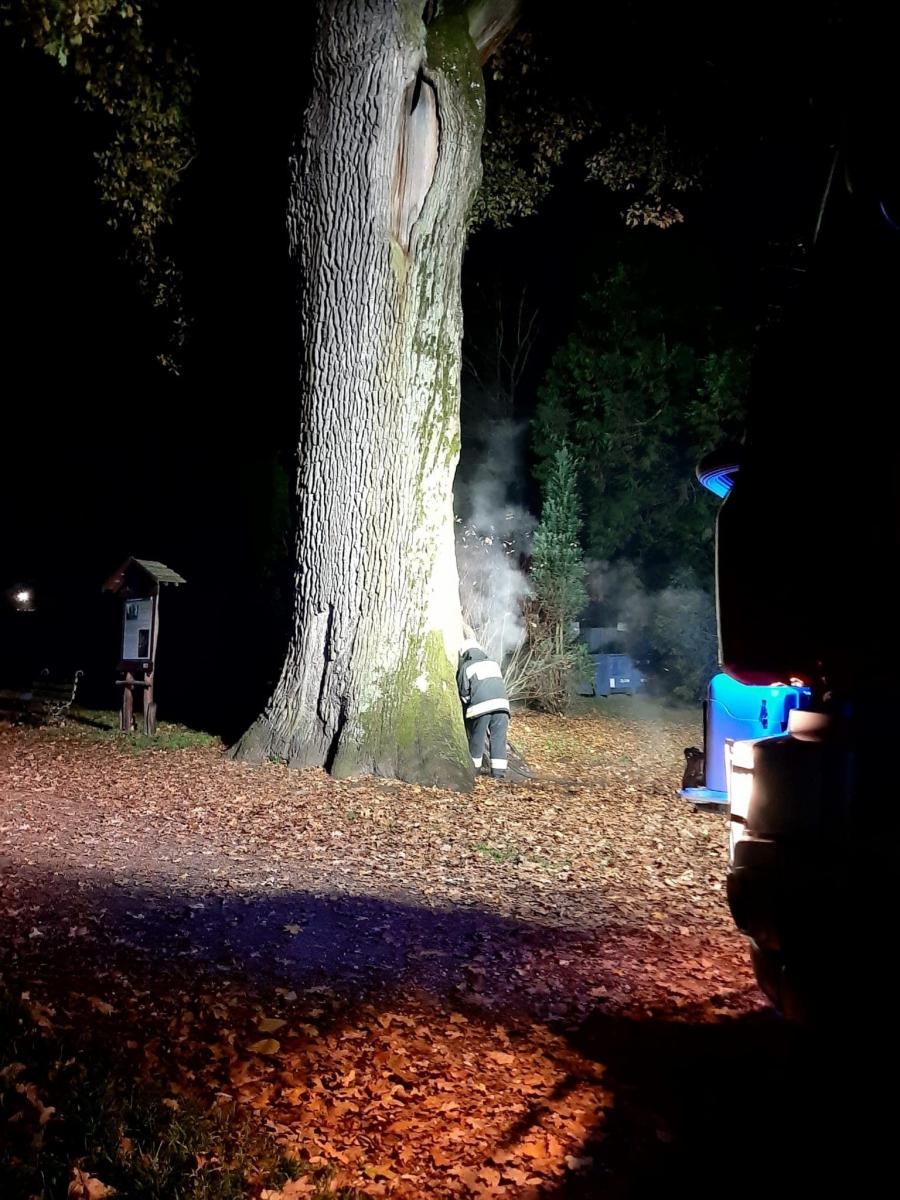 Zdjęcie w galerii na portalu naszraciborz.pl: Pożar dębu Cysters w Rudach. Staruszka udało się na szczęście uratować [FOTO] wiadomości z regionu