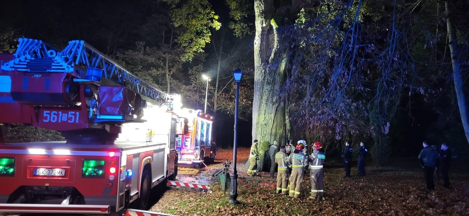 Zdjęcie w galerii na portalu naszraciborz.pl: Pożar dębu Cysters w Rudach. Staruszka udało się na szczęście uratować [FOTO] wiadomości z regionu
