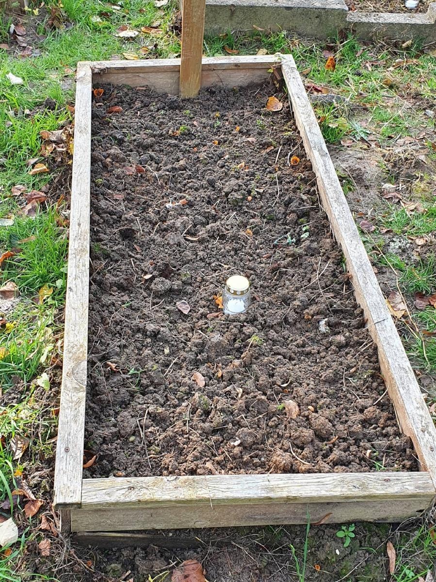 Zdjęcie w galerii na portalu naszraciborz.pl: Wolontariusze Polski 2050 porządkują zapomniane groby wiadomości z regionu