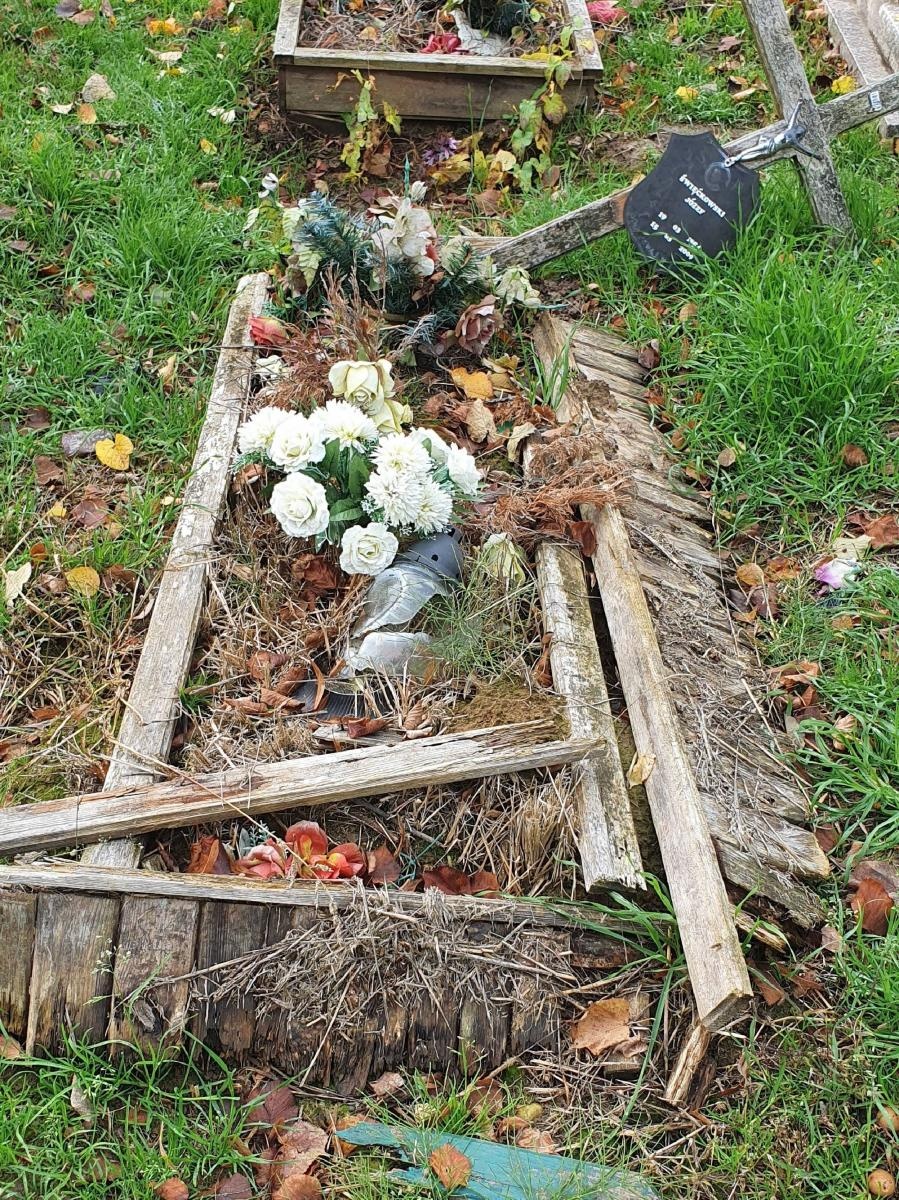 Zdjęcie w galerii na portalu naszraciborz.pl: Wolontariusze Polski 2050 porządkują zapomniane groby wiadomości z regionu