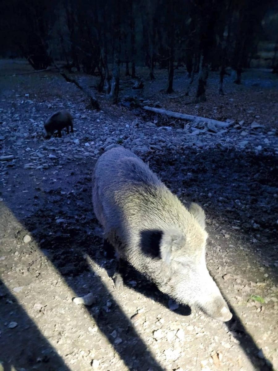 Zdjęcie w galerii na portalu naszraciborz.pl: Babia Góra i Pilsko - raciborzanie na górskich szlakach wiadomości z regionu