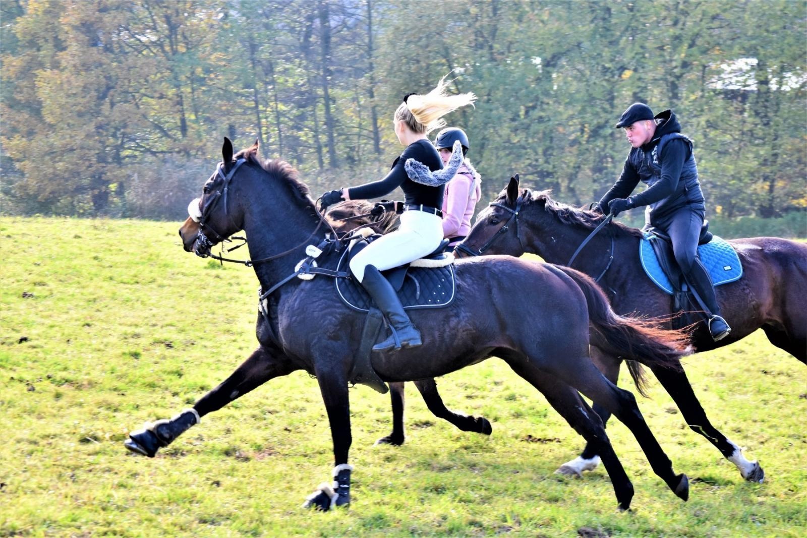 Zdjęcie w galerii na portalu naszraciborz.pl: Hubertus 2022 za nami. Pogonili za lisią kitą [FOTO] wiadomości z regionu