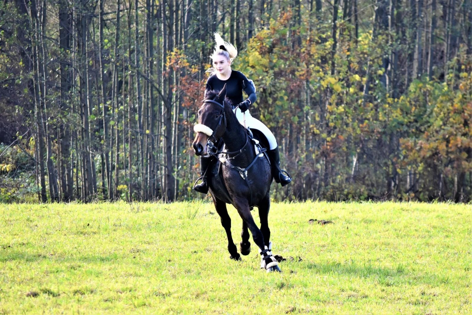 Zdjęcie w galerii na portalu naszraciborz.pl: Hubertus 2022 za nami. Pogonili za lisią kitą [FOTO] wiadomości z regionu