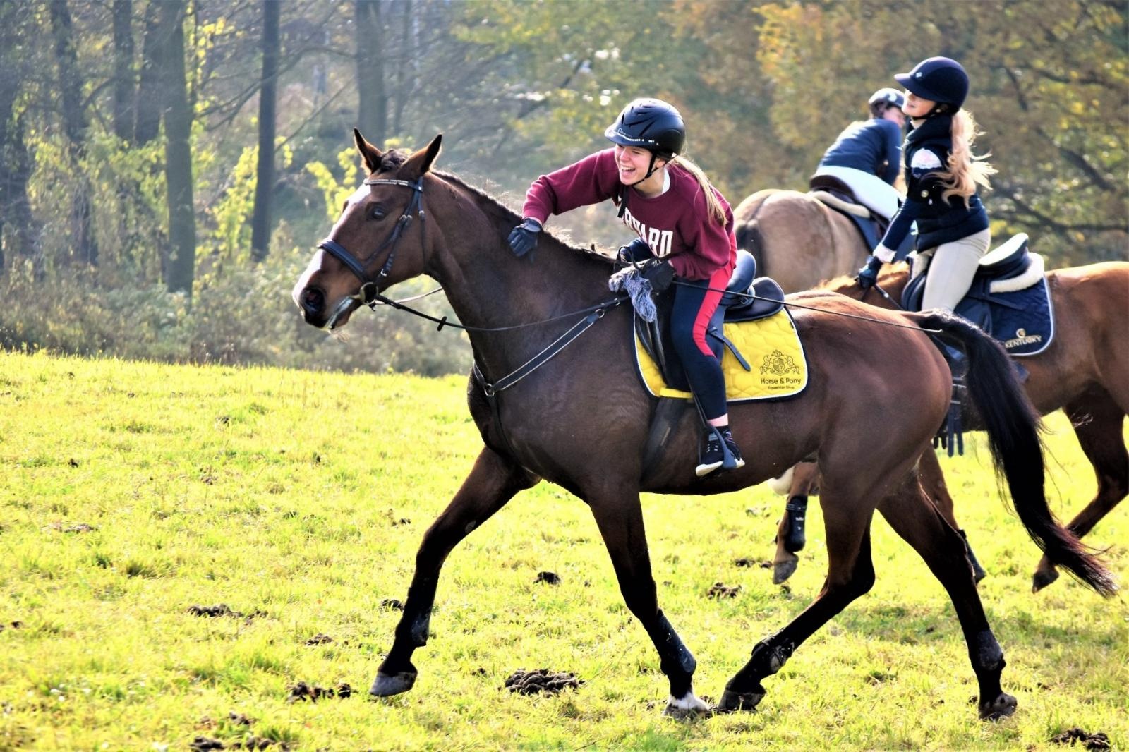 Zdjęcie w galerii na portalu naszraciborz.pl: Hubertus 2022 za nami. Pogonili za lisią kitą [FOTO] wiadomości z regionu