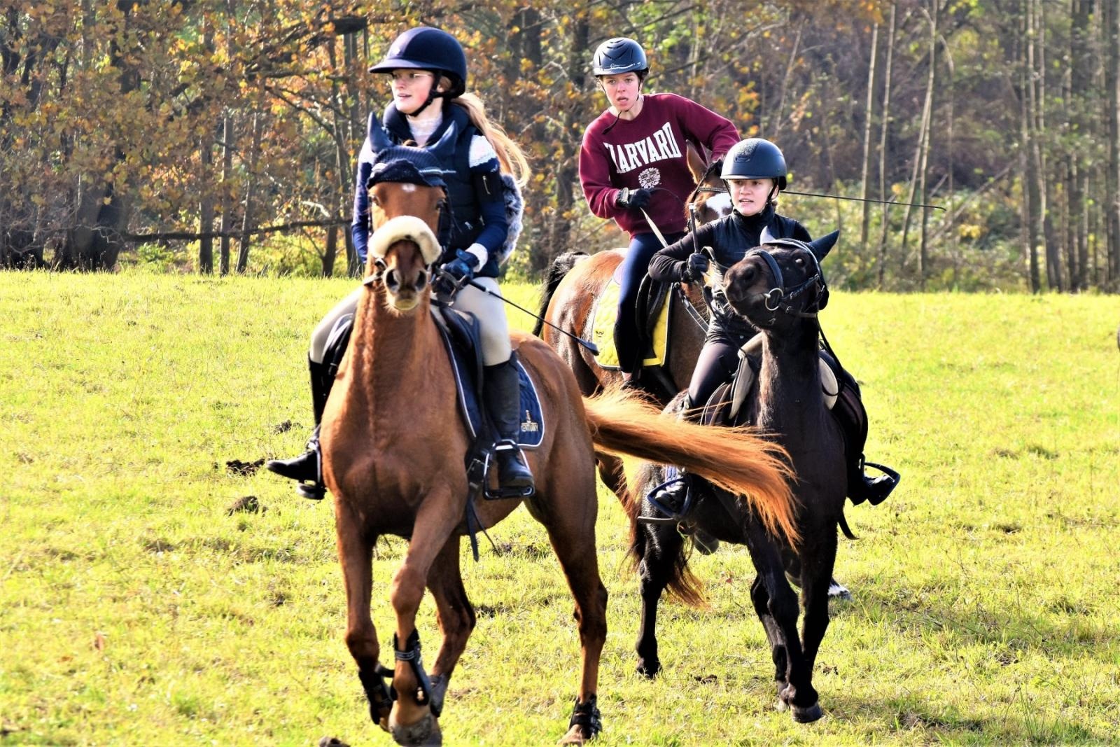 Zdjęcie w galerii na portalu naszraciborz.pl: Hubertus 2022 za nami. Pogonili za lisią kitą [FOTO] wiadomości z regionu