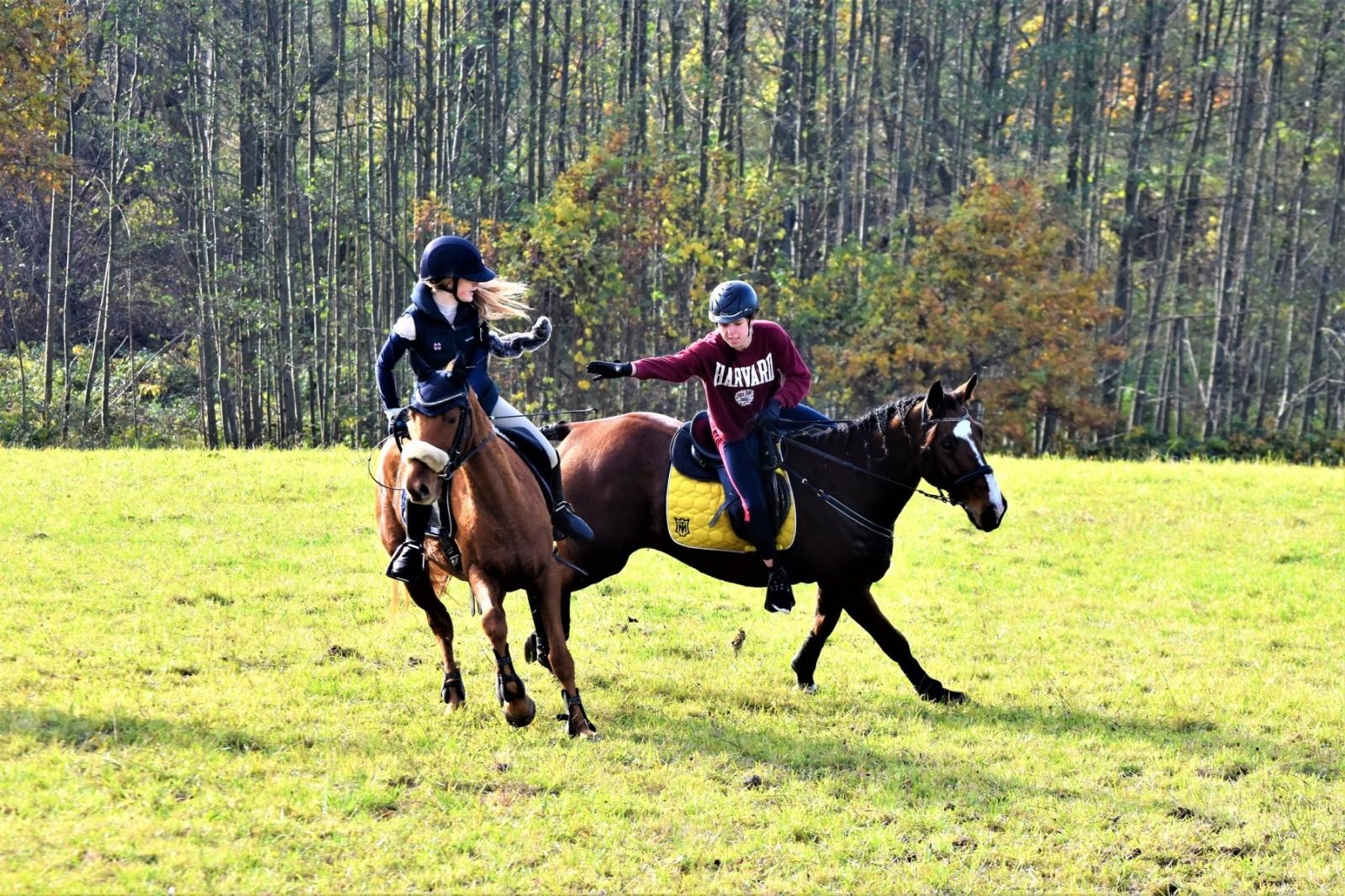 Zdjęcie w galerii na portalu naszraciborz.pl: Hubertus 2022 za nami. Pogonili za lisią kitą [FOTO] wiadomości z regionu