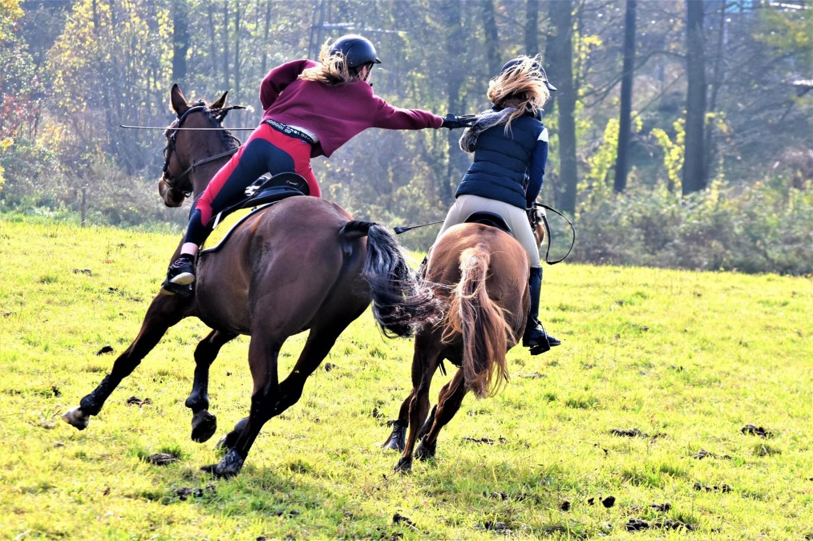 Zdjęcie w galerii na portalu naszraciborz.pl: Hubertus 2022 za nami. Pogonili za lisią kitą [FOTO] wiadomości z regionu