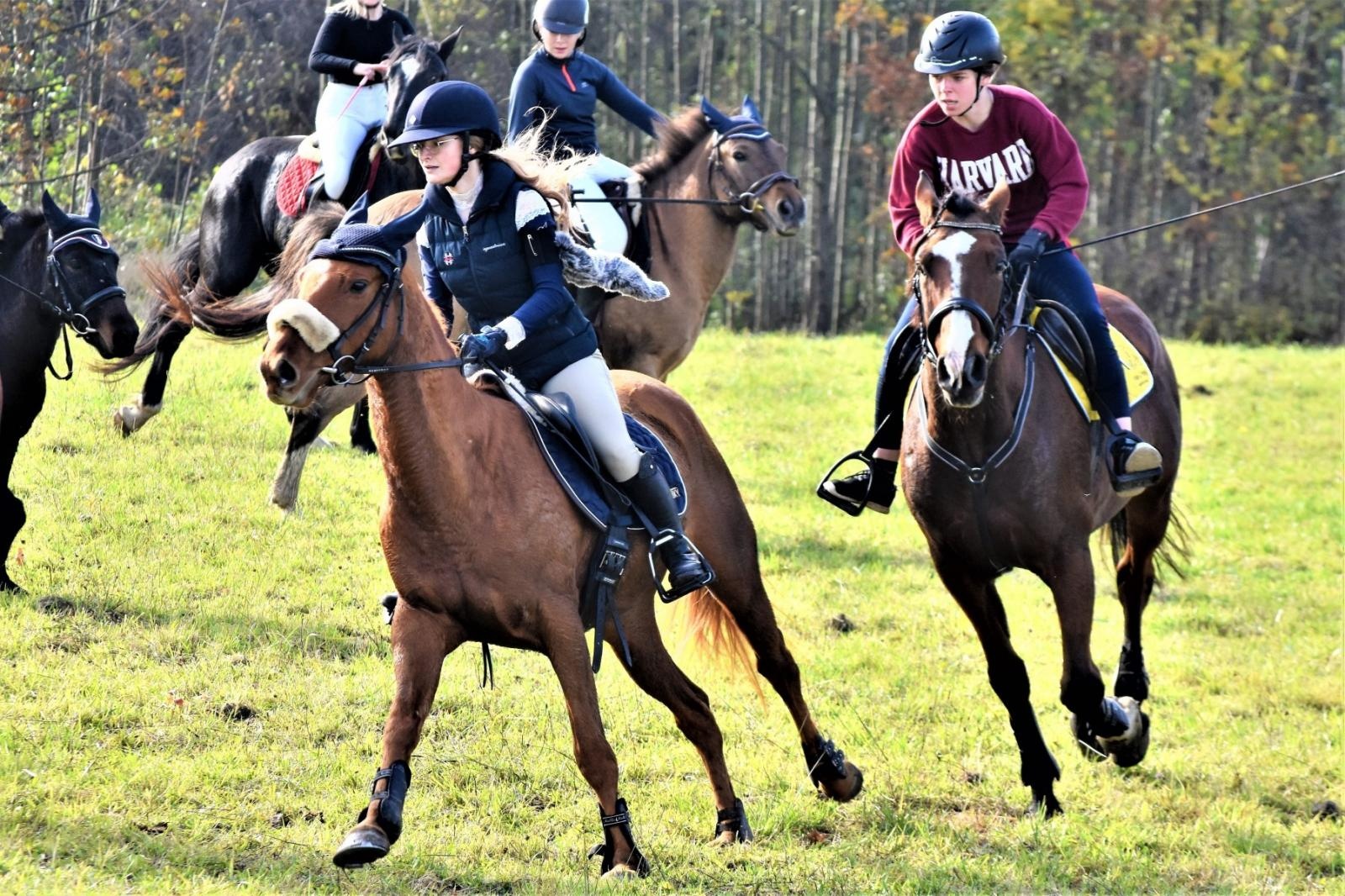 Zdjęcie w galerii na portalu naszraciborz.pl: Hubertus 2022 za nami. Pogonili za lisią kitą [FOTO] wiadomości z regionu