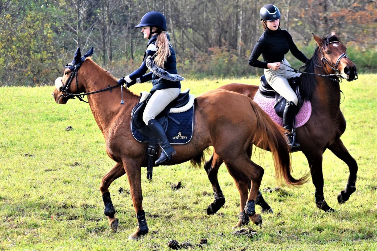 Zdjęcie w galerii na portalu naszraciborz.pl: Hubertus 2022 za nami. Pogonili za lisią kitą [FOTO] wiadomości z regionu