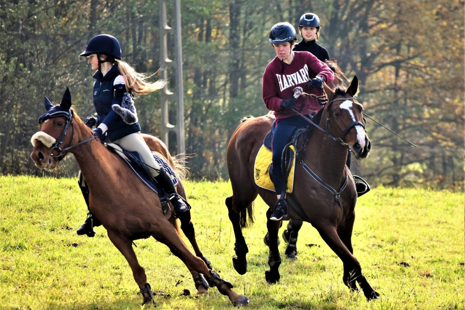 Zdjęcie w galerii na portalu naszraciborz.pl: Hubertus 2022 za nami. Pogonili za lisią kitą [FOTO] wiadomości z regionu