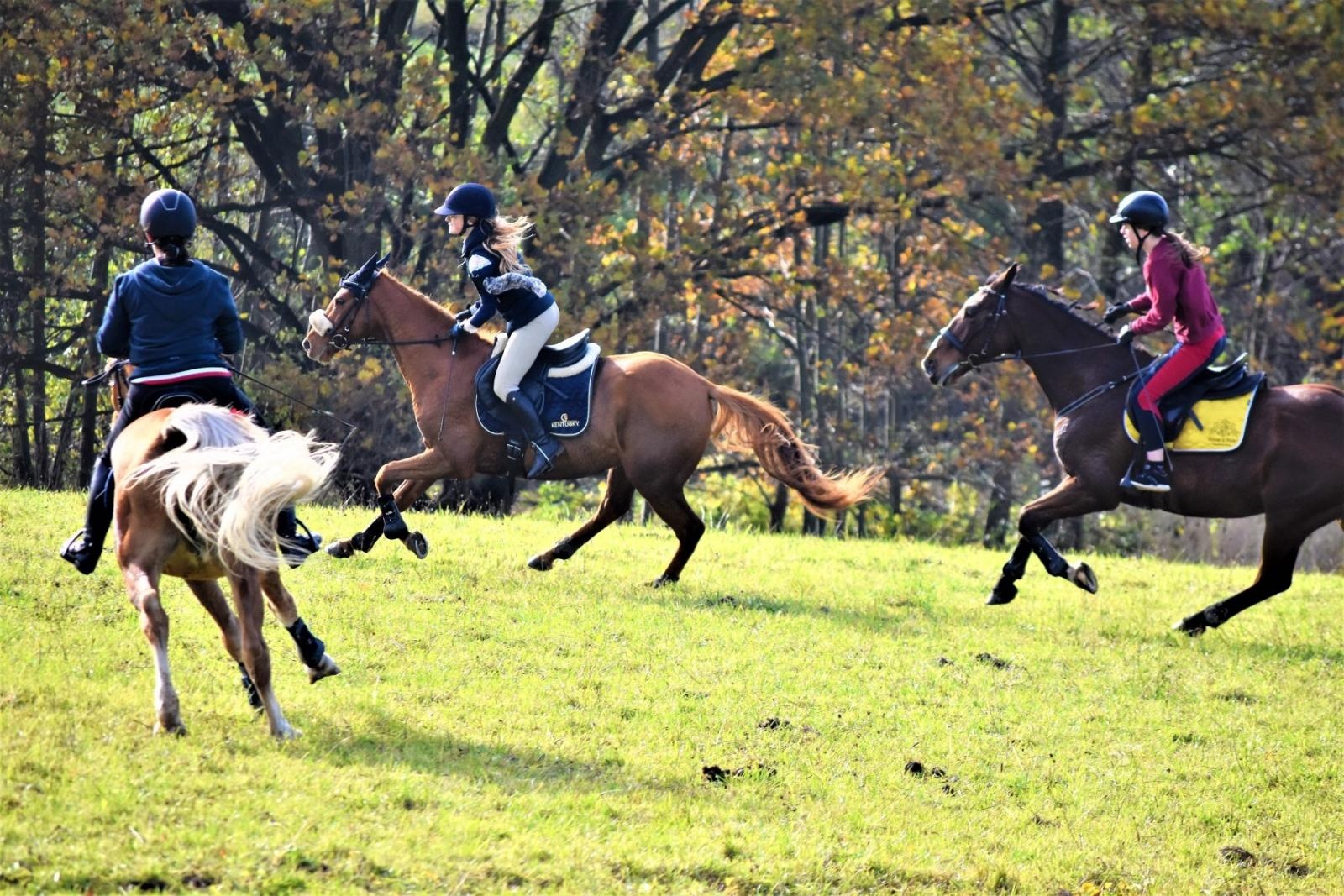 Zdjęcie w galerii na portalu naszraciborz.pl: Hubertus 2022 za nami. Pogonili za lisią kitą [FOTO] wiadomości z regionu