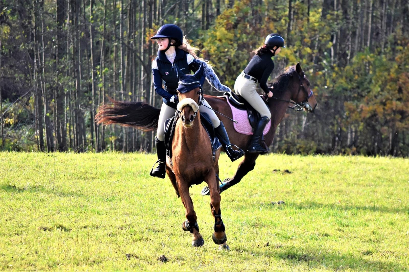 Zdjęcie w galerii na portalu naszraciborz.pl: Hubertus 2022 za nami. Pogonili za lisią kitą [FOTO] wiadomości z regionu