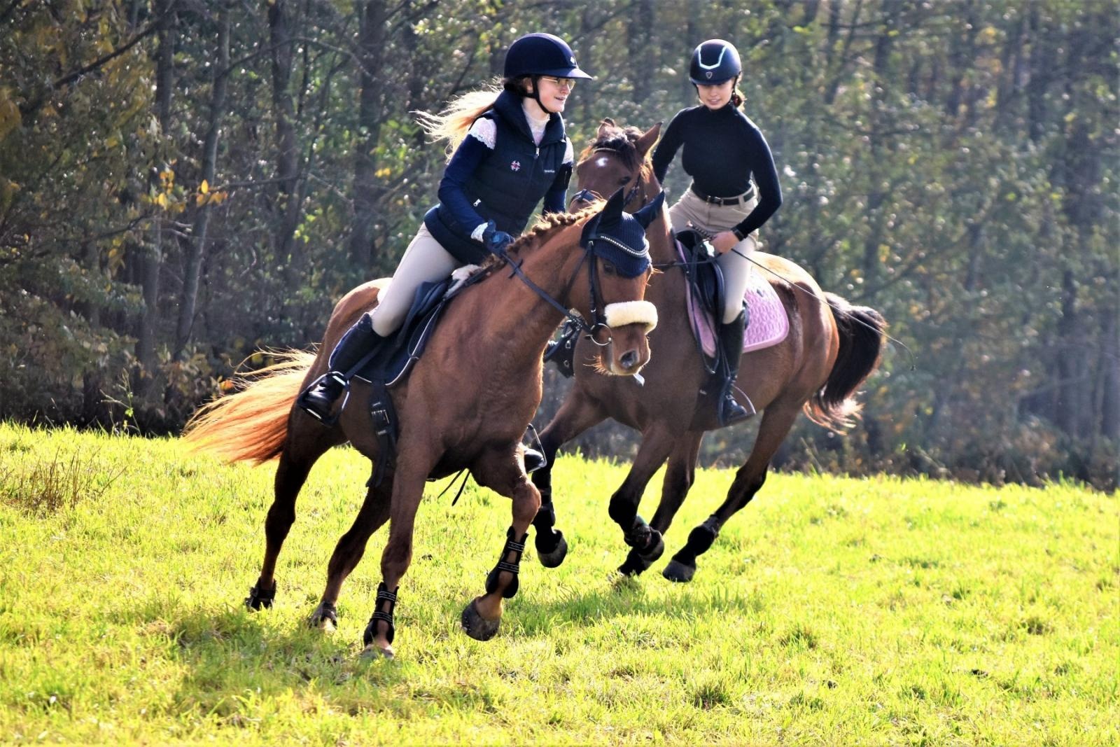 Zdjęcie w galerii na portalu naszraciborz.pl: Hubertus 2022 za nami. Pogonili za lisią kitą [FOTO] wiadomości z regionu