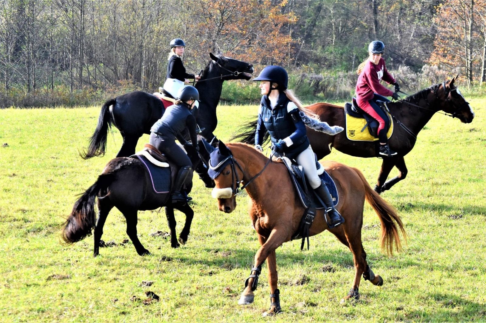 Zdjęcie w galerii na portalu naszraciborz.pl: Hubertus 2022 za nami. Pogonili za lisią kitą [FOTO] wiadomości z regionu