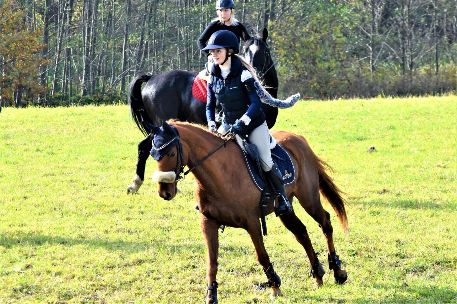 Zdjęcie w galerii na portalu naszraciborz.pl: Hubertus 2022 za nami. Pogonili za lisią kitą [FOTO] wiadomości z regionu