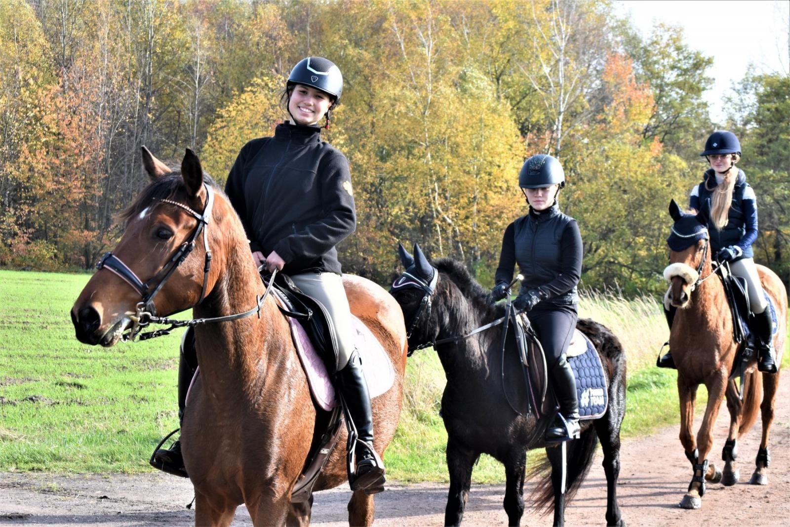 Zdjęcie w galerii na portalu naszraciborz.pl: Hubertus 2022 za nami. Pogonili za lisią kitą [FOTO] wiadomości z regionu