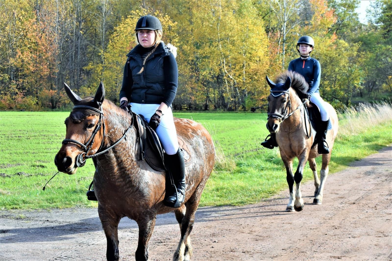 Zdjęcie w galerii na portalu naszraciborz.pl: Hubertus 2022 za nami. Pogonili za lisią kitą [FOTO] wiadomości z regionu