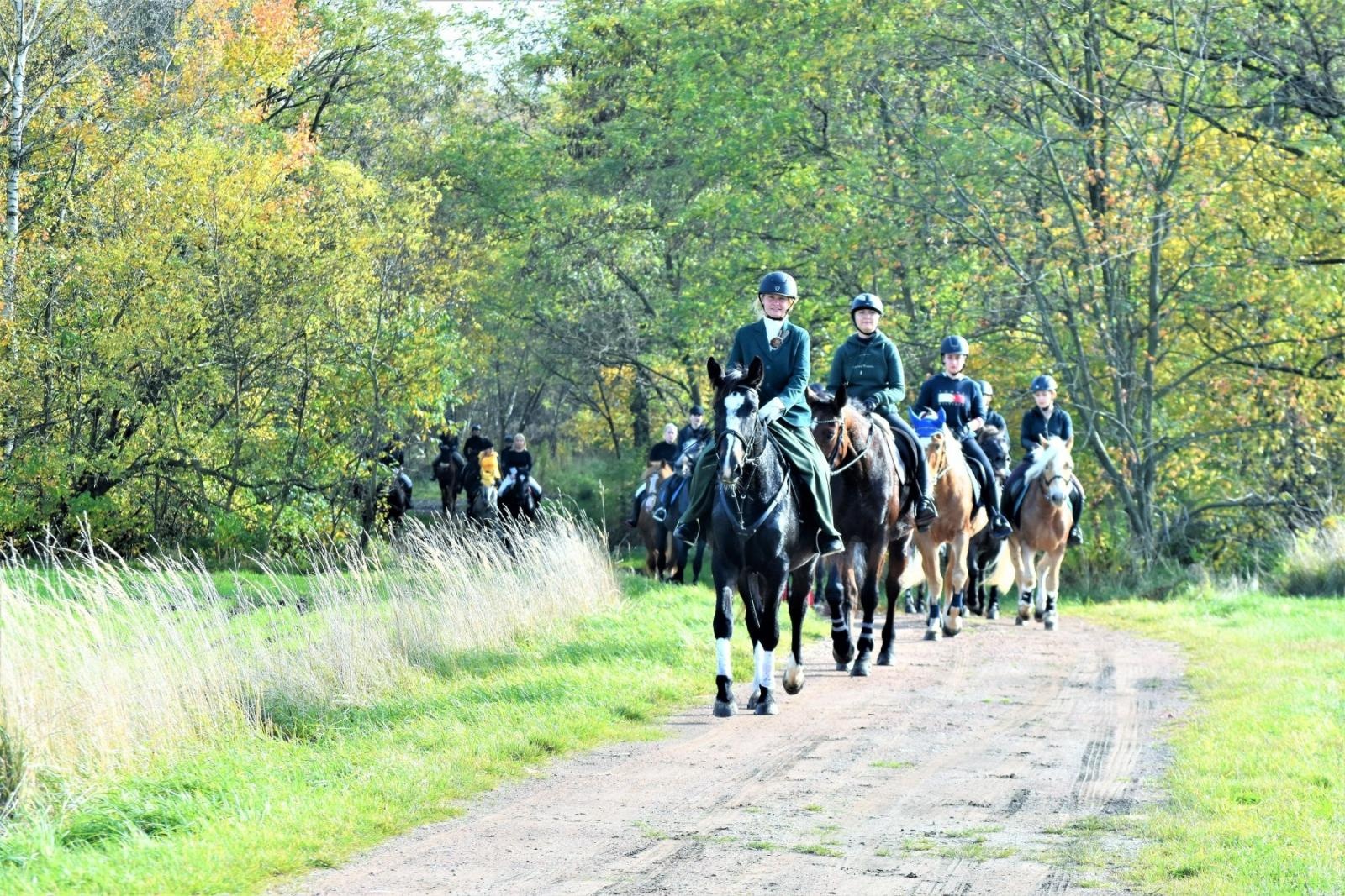 Zdjęcie w galerii na portalu naszraciborz.pl: Hubertus 2022 za nami. Pogonili za lisią kitą [FOTO] wiadomości z regionu