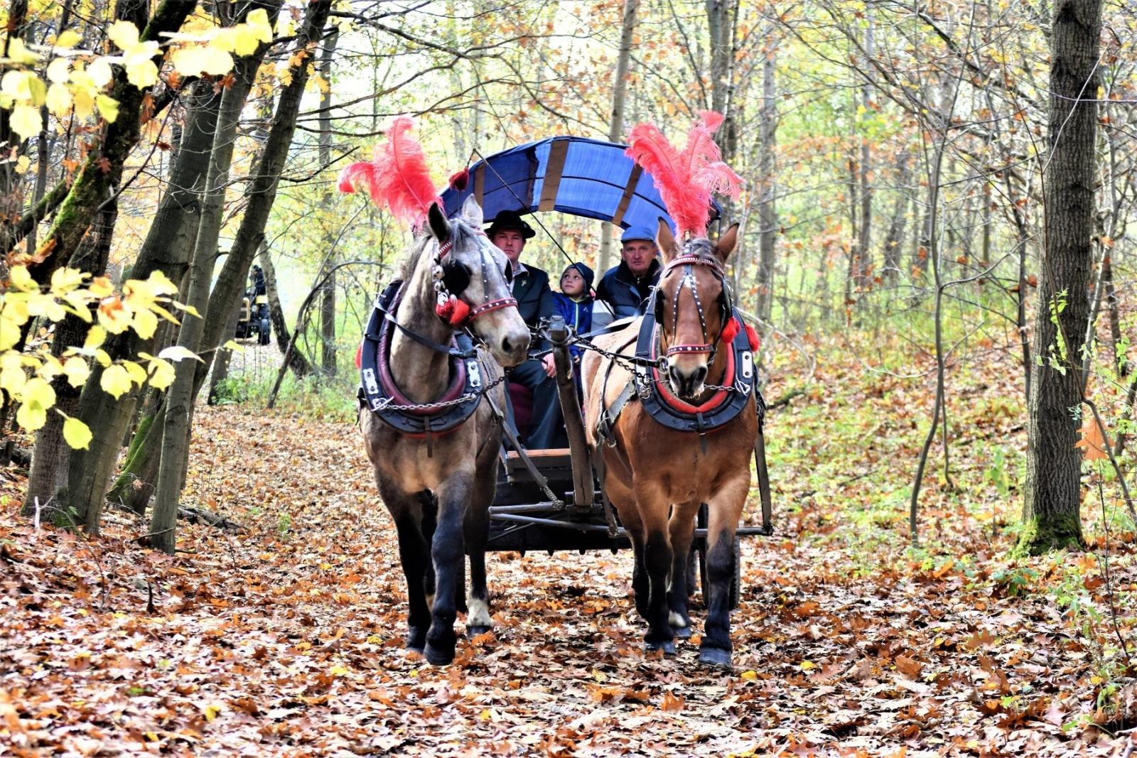 Zdjęcie w galerii na portalu naszraciborz.pl: Hubertus 2022 za nami. Pogonili za lisią kitą [FOTO] wiadomości z regionu