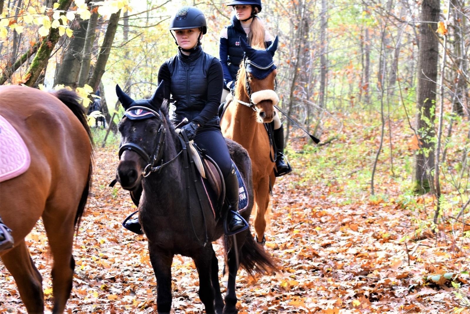 Zdjęcie w galerii na portalu naszraciborz.pl: Hubertus 2022 za nami. Pogonili za lisią kitą [FOTO] wiadomości z regionu
