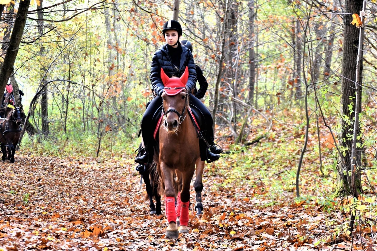 Zdjęcie w galerii na portalu naszraciborz.pl: Hubertus 2022 za nami. Pogonili za lisią kitą [FOTO] wiadomości z regionu