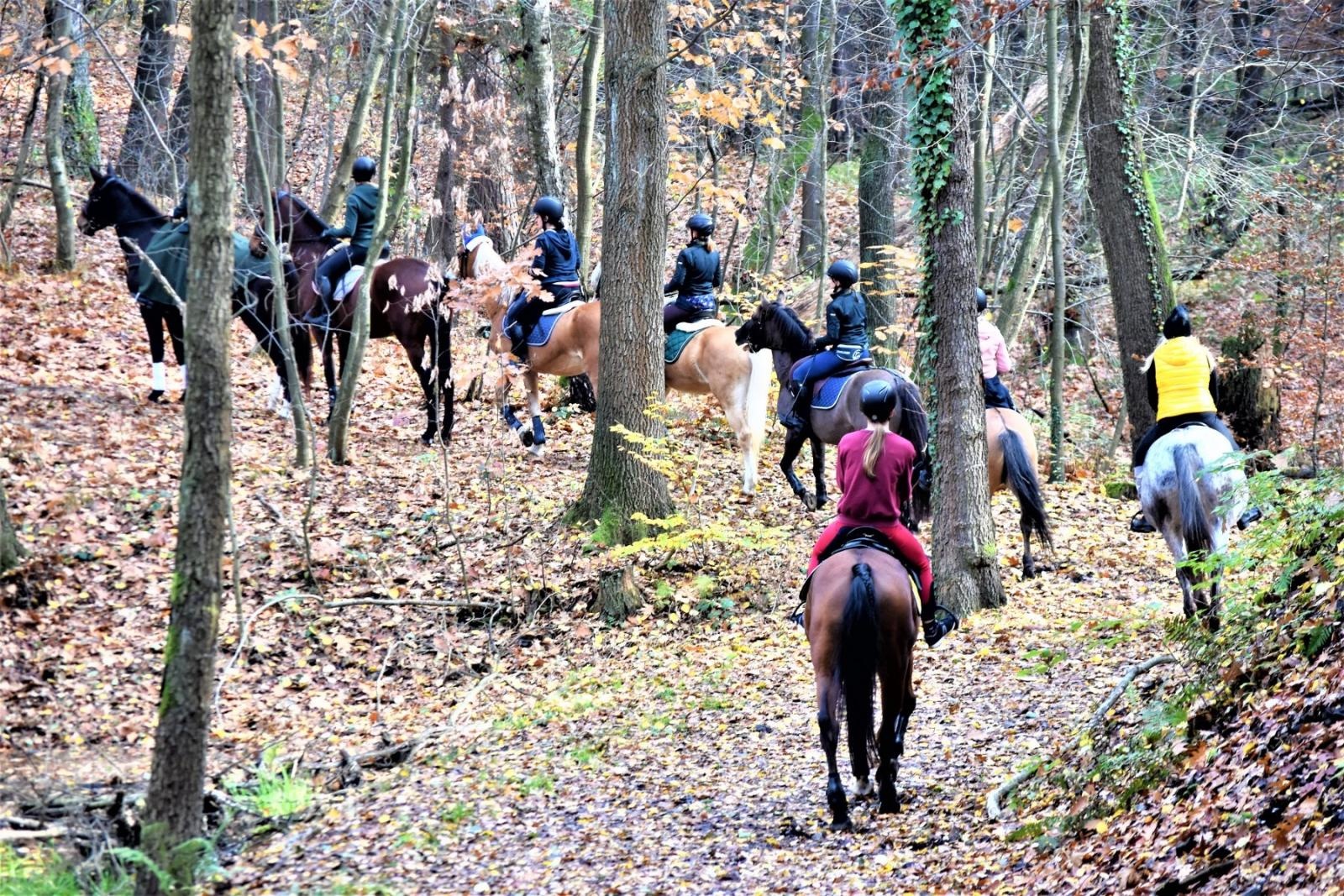 Zdjęcie w galerii na portalu naszraciborz.pl: Hubertus 2022 za nami. Pogonili za lisią kitą [FOTO] wiadomości z regionu