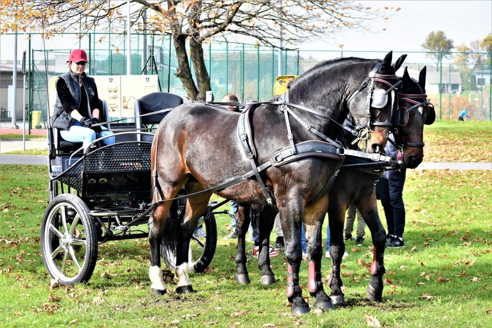 Zdjęcie w galerii na portalu naszraciborz.pl: Hubertus 2022 za nami. Pogonili za lisią kitą [FOTO] wiadomości z regionu
