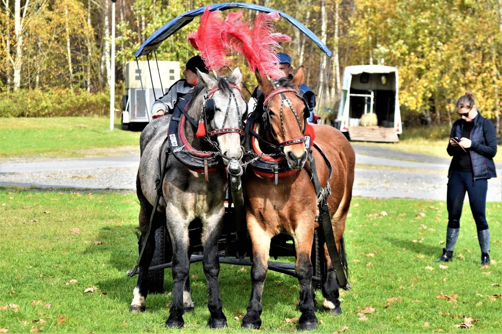 Zdjęcie w galerii na portalu naszraciborz.pl: Hubertus 2022 za nami. Pogonili za lisią kitą [FOTO] wiadomości z regionu