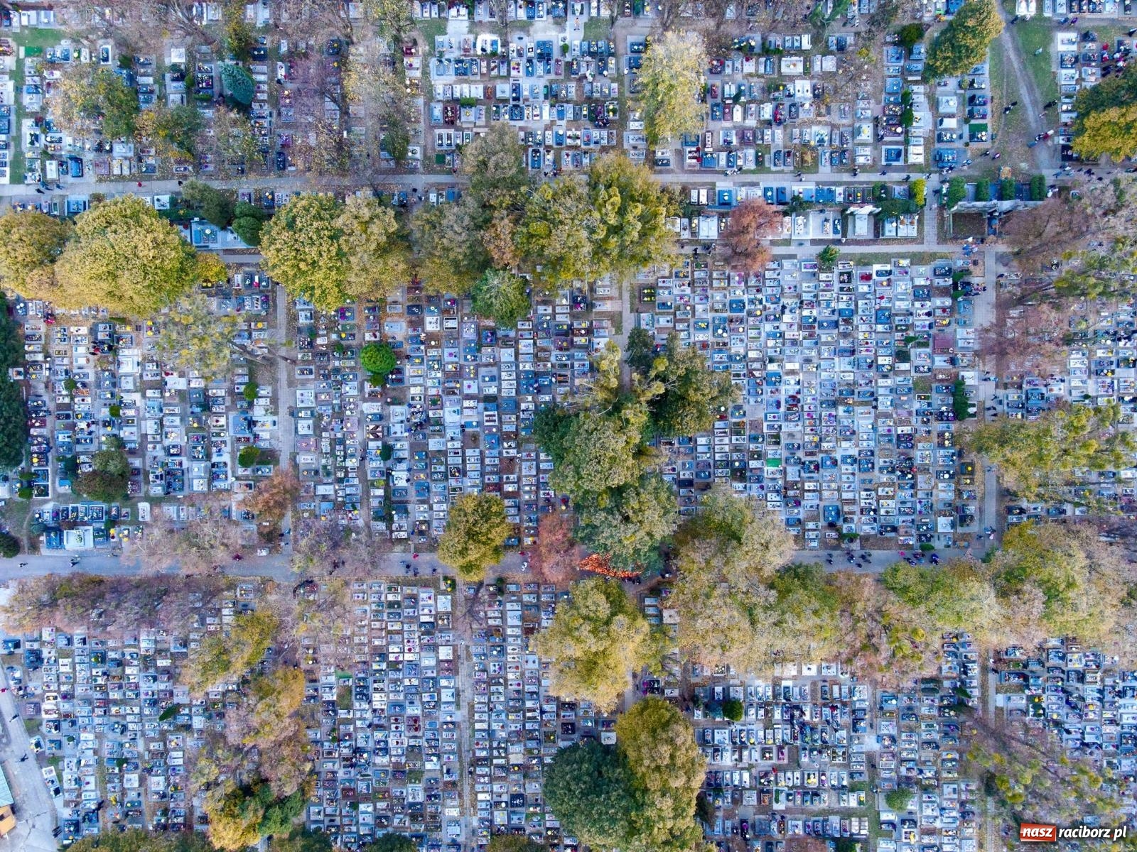 Zdjęcie w galerii na portalu naszraciborz.pl: Raciborskie Jeruzalem AD 2022. Modlitwa i kwesta na ratowanie zabytków [FOTO i WIDEO] wiadomości z regionu
