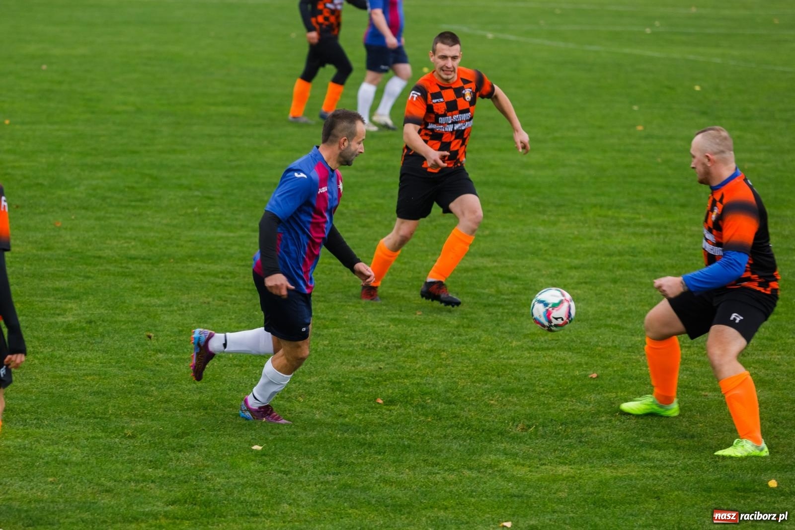 Zdjęcie w galerii na portalu naszraciborz.pl: Bez niespodzianki w Pietraszynie. Kobyla na kolanach [FOTO] wiadomości z regionu