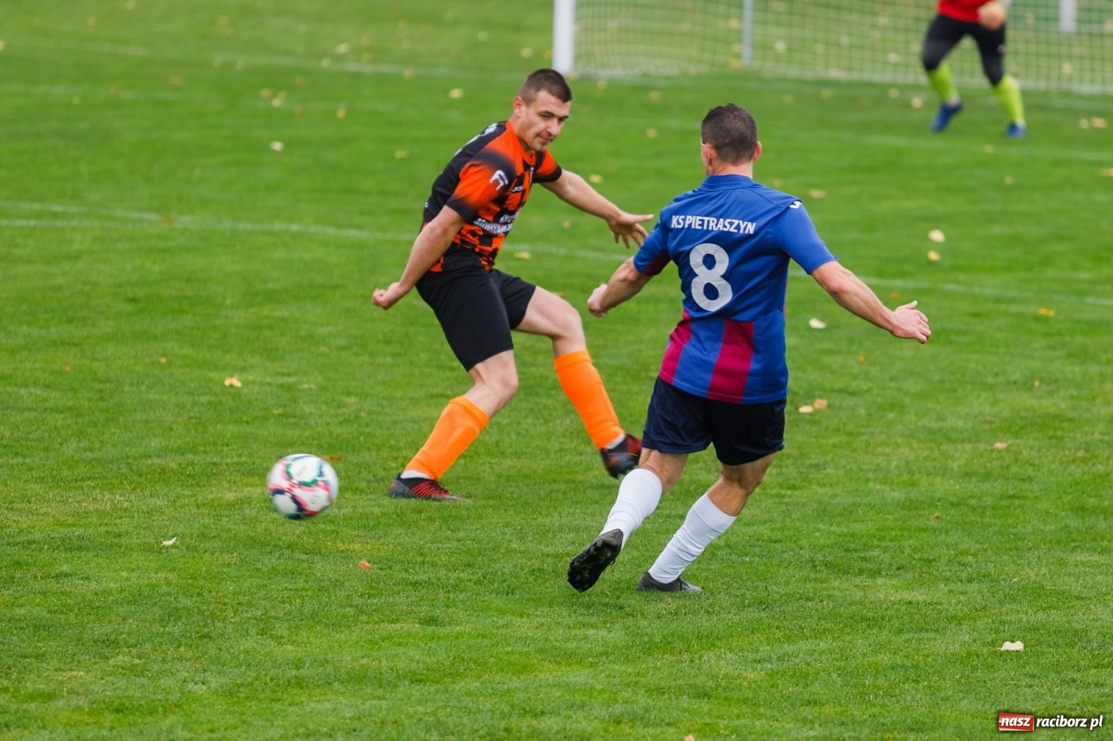 Zdjęcie w galerii na portalu naszraciborz.pl: Bez niespodzianki w Pietraszynie. Kobyla na kolanach [FOTO] wiadomości z regionu